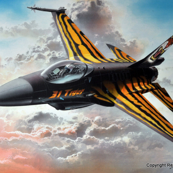 F-16 TIGERMEET.jpg